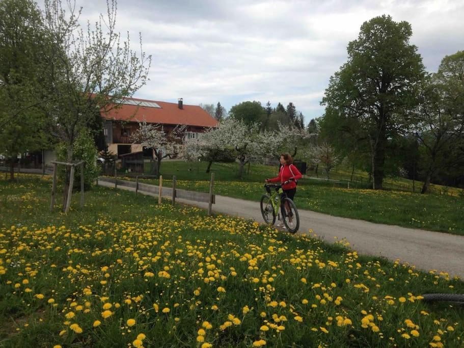Ferienwohnung Manu Kißlegg Buitenkant foto